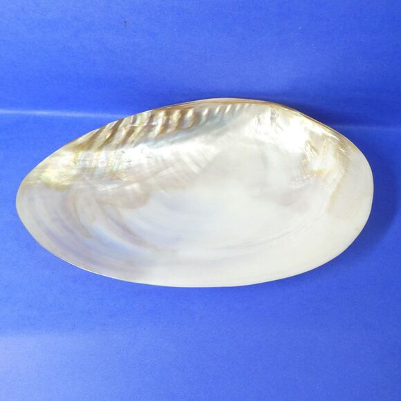 Clam Shell Dish Mother of Pearl Abalone Seashell 11" Large - Picture 1 of 12
